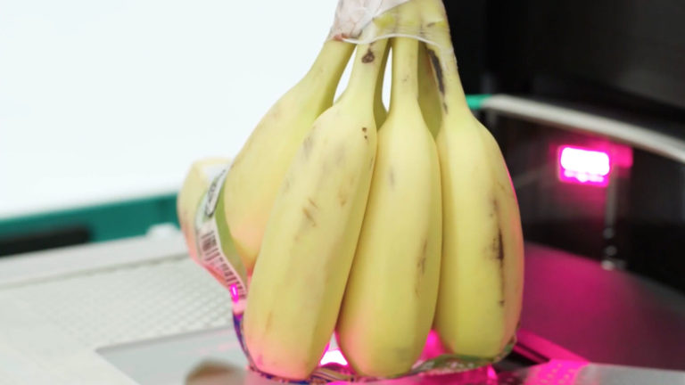 Produce Recognition Software